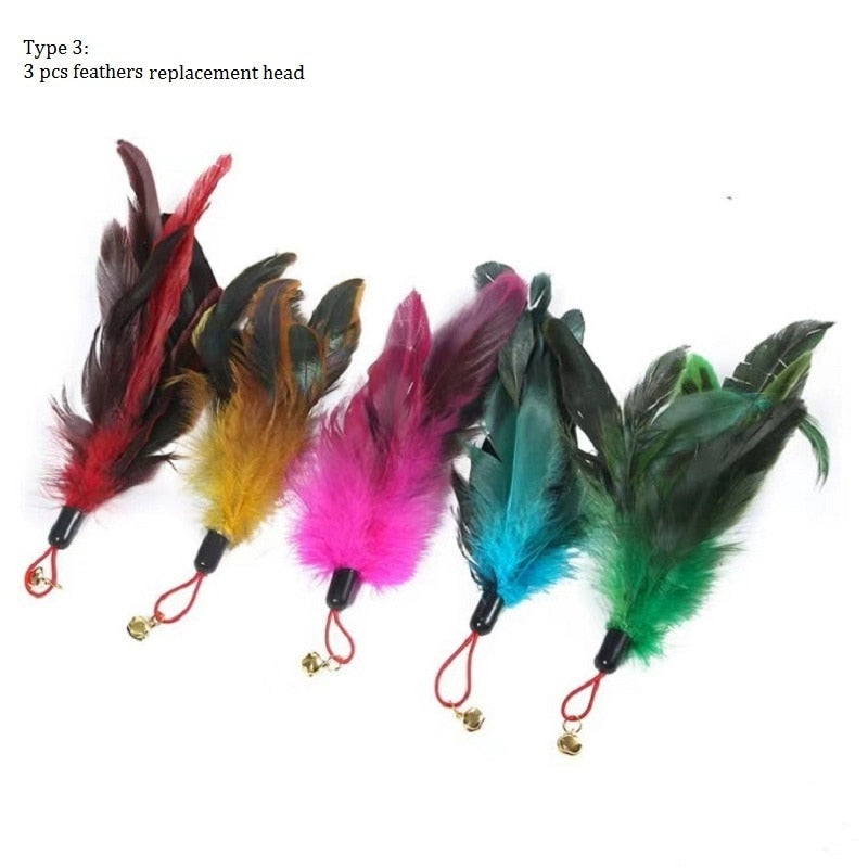 Feather Cat Toy